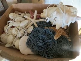 Lots of sea shells and coral. Nautical decor and fish tank decor