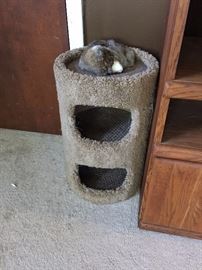 CAT HOUSE