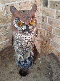 Owl to watch over the garden