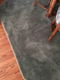 Living room and family room area rugs