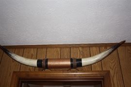 Mounted Steer Horns