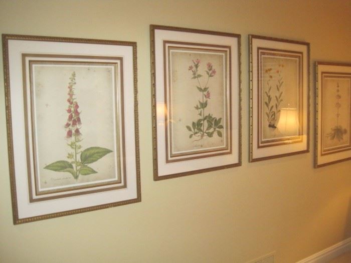 Set of 4 nicely framed Botanical Prints.