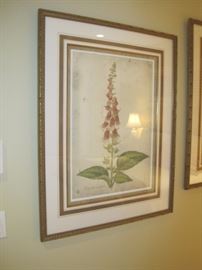Set of 4 nicely framed Botanical Prints.