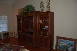 Beautiful Entertainment Center