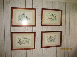WALL BIRD ART FRAMED