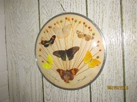 BUTTERFLY ECOLOGY PLAQUE