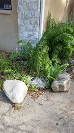 River rocks [Few Available]