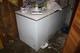 Large Chest size freezer