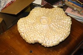 Great place to display your jewelry