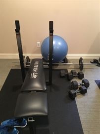 DP Fit for Life bench and free weights