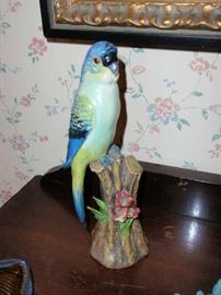 Parakeet Made in Italy