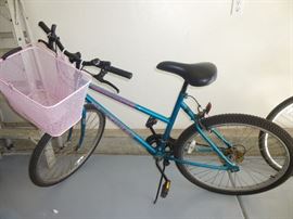 Woman's Bike with Basket