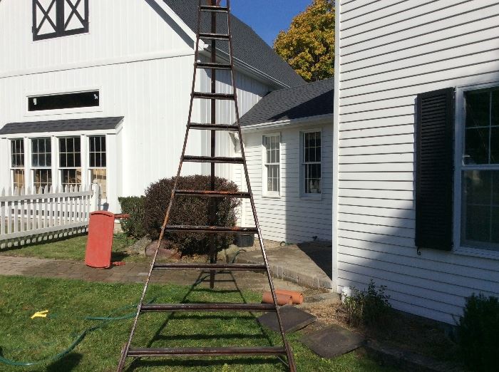 Antique Oregon fruit ladder