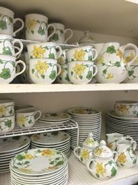 Discontinued Villeroy & Boch “Geranium” (England’s Lady Di’s selection but discontinued after her death)