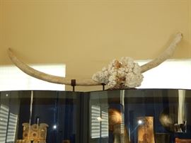 Natural Rice Coral Art