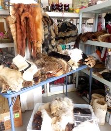 Fur & More Fur!
