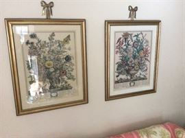 Botanical Art Prints