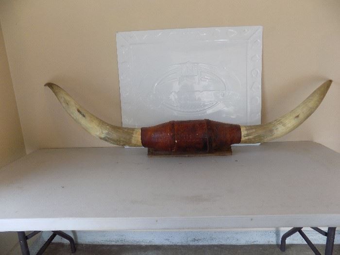 6 FT Bull Horn