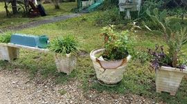Outdoor Benches with Planter Sides and Assorted Plants