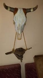 Cow Skull Head