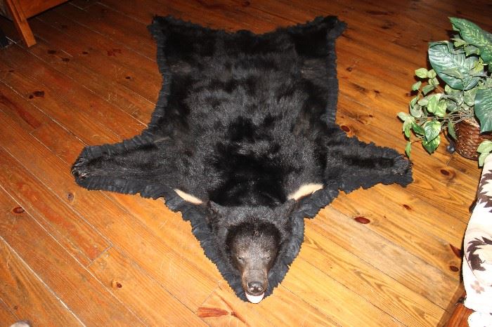 black bear skin rug