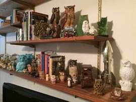 Owl Collection