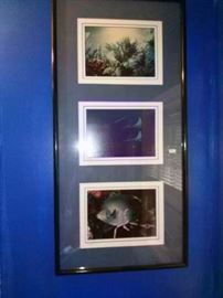 Photo Art Framed Signed