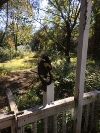 Either it's school time or supper time ! I'll go with school, YES!