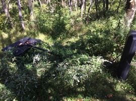 Basket ball hoop (taking a breather...)