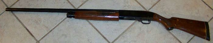 Sears Ted Williams 20 gauge Model 200 Pump Shotgun