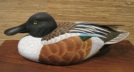 Detail of Duck Decoy