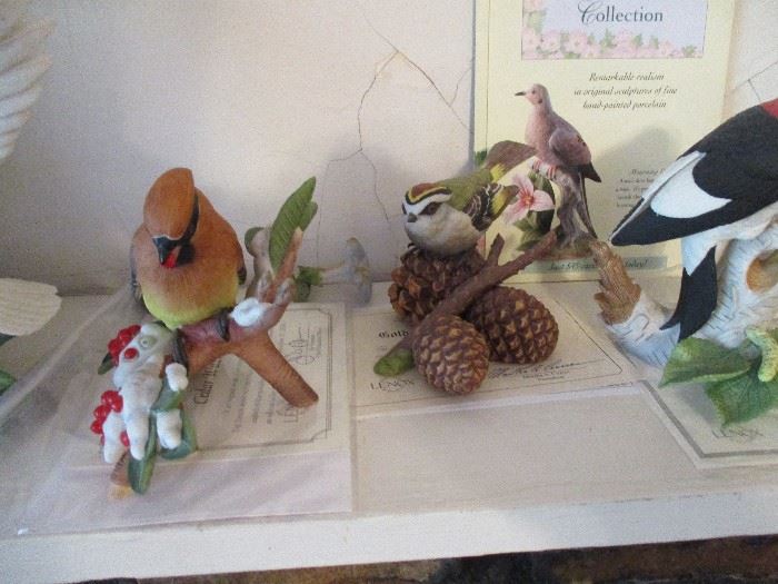More of the wild bird collection