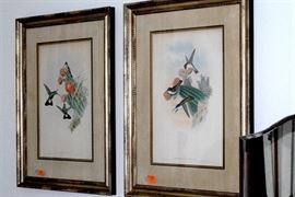 hummingbird lithographs