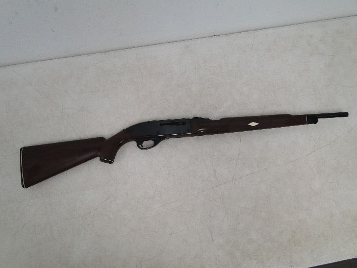 Remington nylon 66, 22 cal.