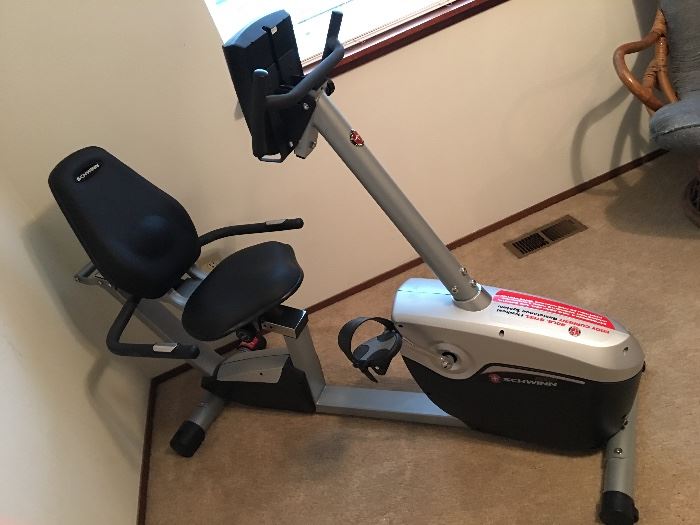 Schein Recumbent Exercise Stationary Bicycle