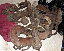 Several McClellan Saddles from 1880s to 1910