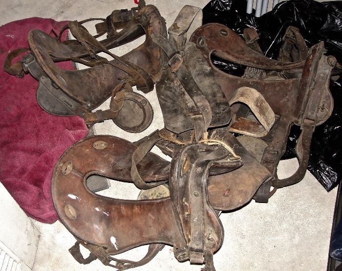 Several McClellan Saddles from 1880s to 1910