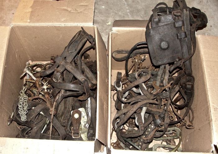 Boxes of Late 19th to Early 20th Century Horse Tack