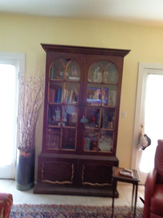 Gorgeous Bookcase or Display Cabinet