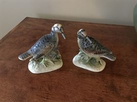 Woodcock pair by Ucacgo