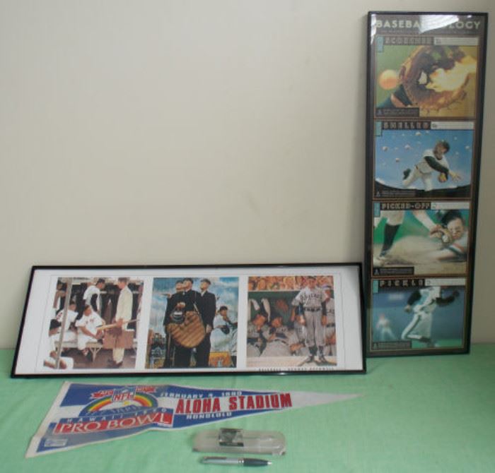 DDC010 Framed Baseball Prints, Tiger Woods UD Pen, Pro Bowl
