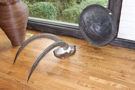 African giant sable / antelope horns; Ethopioan rhino shield