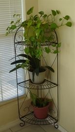 Plant stand & live plants