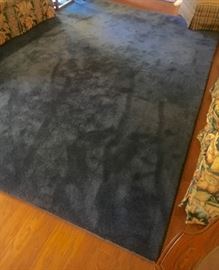 Blue area rug. 