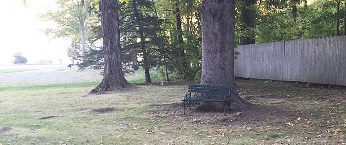 Old park bench -- wish the yard and trees and view came with it 