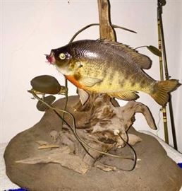 Walt Pawlikowski 3 Day Estate Sale - 10/21/16 to 10/23/16. 4018 E 2nd St, Superior, WI. www.estateofvalue.com