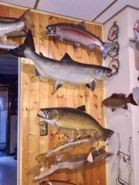 Walt Pawlikowski 3 Day Estate Sale - 10/21/16 to 10/23/16. 4018 E 2nd St, Superior, WI. www.estateofvalue.com