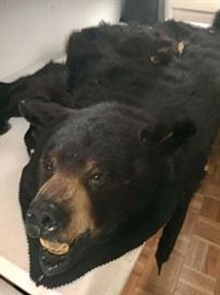 Walt Pawlikowski 3 Day Estate Sale - 10/21/16 to 10/23/16. 4018 E 2nd St, Superior, WI. www.estateofvalue.com