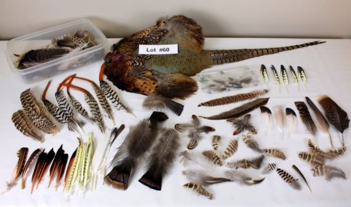 PHEASANT PELT & LOTS OF MISC. FEATHERS