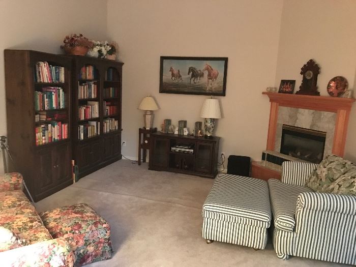 Family room with bookcases, books, hide-a-bed etc